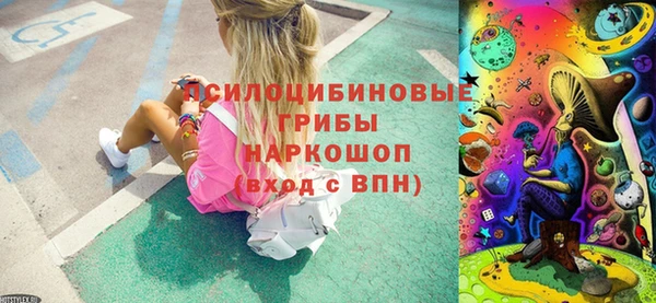 прущие грибы Покров
