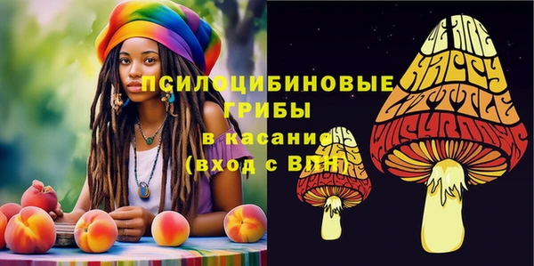 гидра Алексеевка