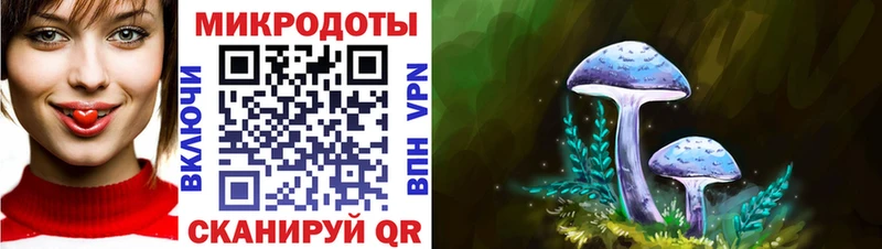 как найти закладки  Татарск  Псилоцибиновые грибы Cubensis 
