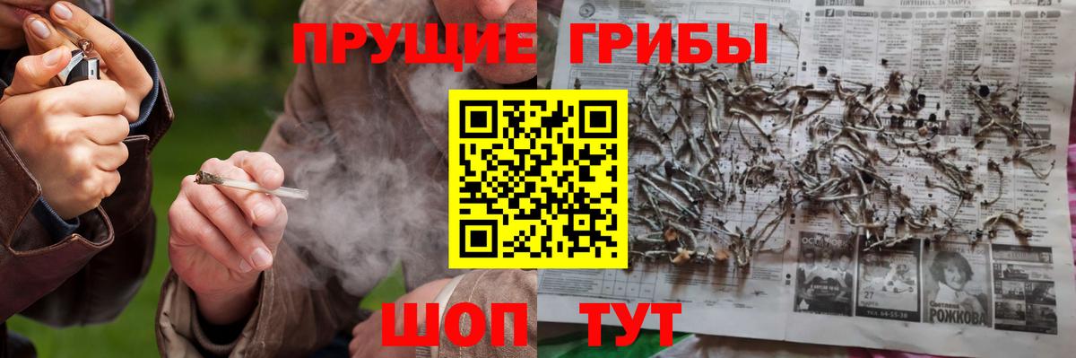 Татарск  Галлюциногенные грибы MAGIC MUSHROOMS  Вход с VPN  Галлюциногенные грибы прущие грибы 